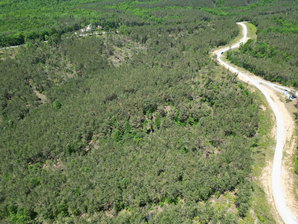 140 Pinewood Dr Hohenwald, TN 38462