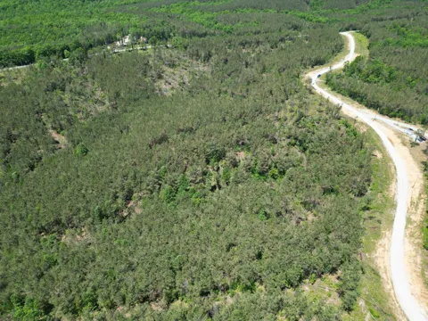140 Pinewood Dr