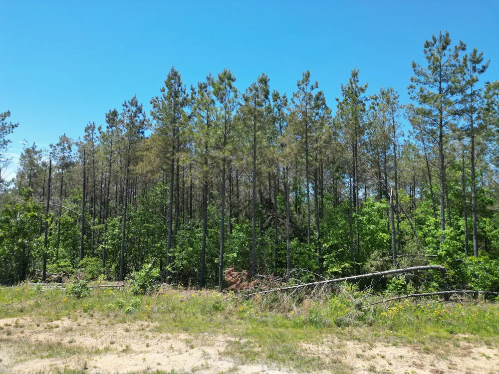 140 Pinewood Dr Hohenwald, TN 38462
