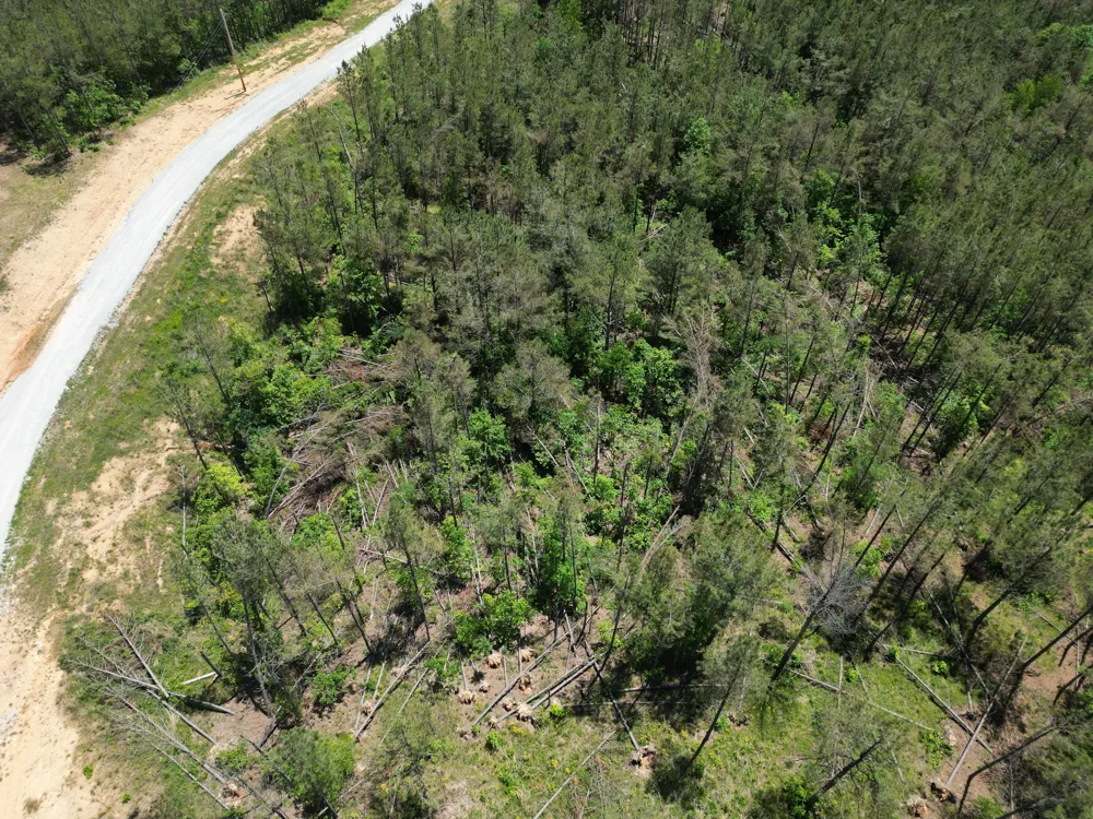 140 Pinewood Dr Hohenwald, TN 38462