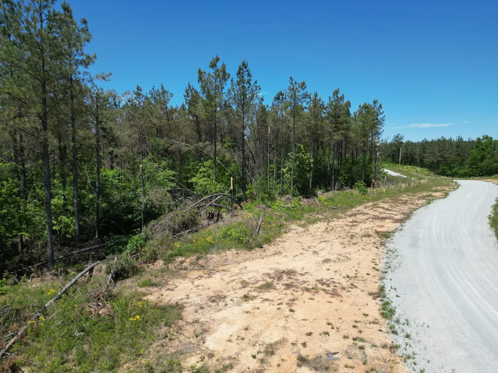 140 Pinewood Dr Hohenwald, TN 38462