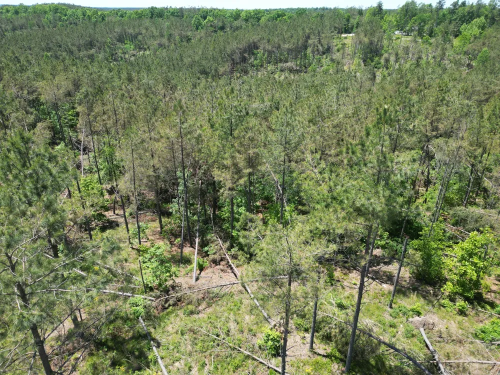 140 Pinewood Dr Hohenwald, TN 38462