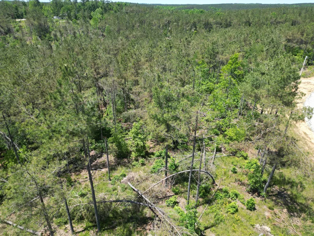 140 Pinewood Dr Hohenwald, TN 38462