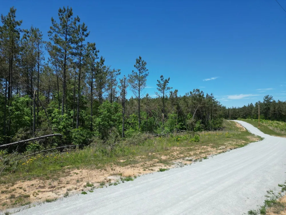 140 Pinewood Dr Hohenwald, TN 38462