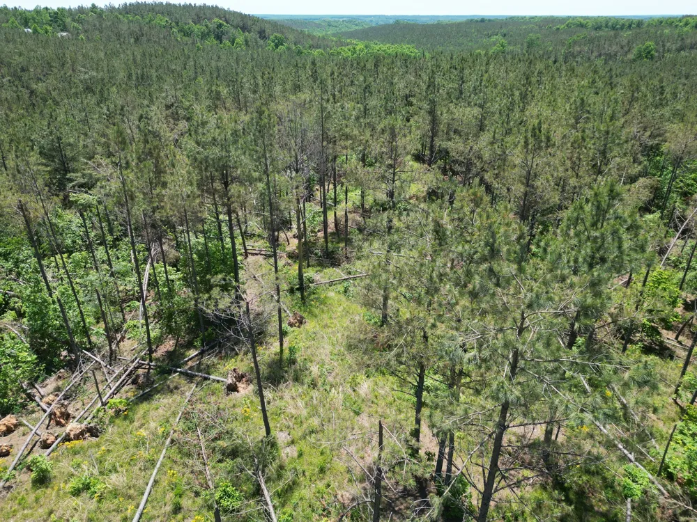 140 Pinewood Dr Hohenwald, TN 38462