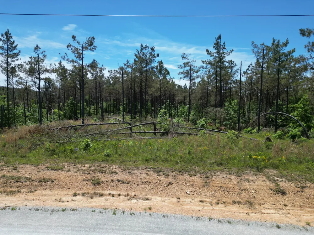 140 Pinewood Dr Hohenwald, TN 38462