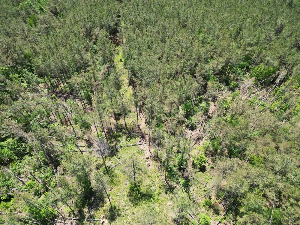140 Pinewood Dr Hohenwald, TN 38462