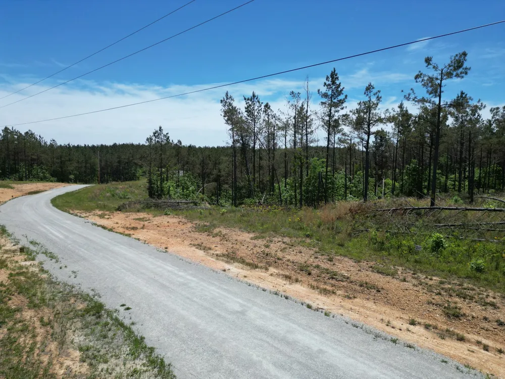 140 Pinewood Dr Hohenwald, TN 38462