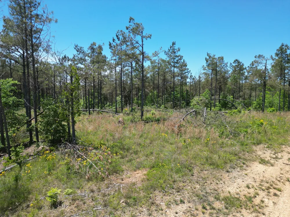 140 Pinewood Dr Hohenwald, TN 38462