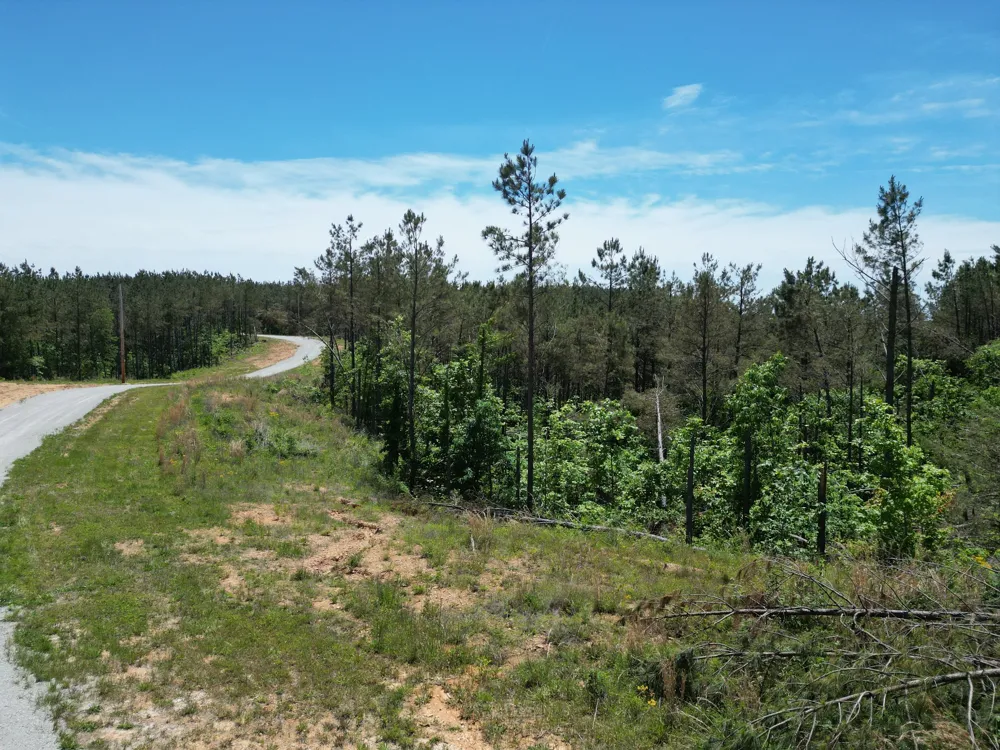 140 Pinewood Dr Hohenwald, TN 38462