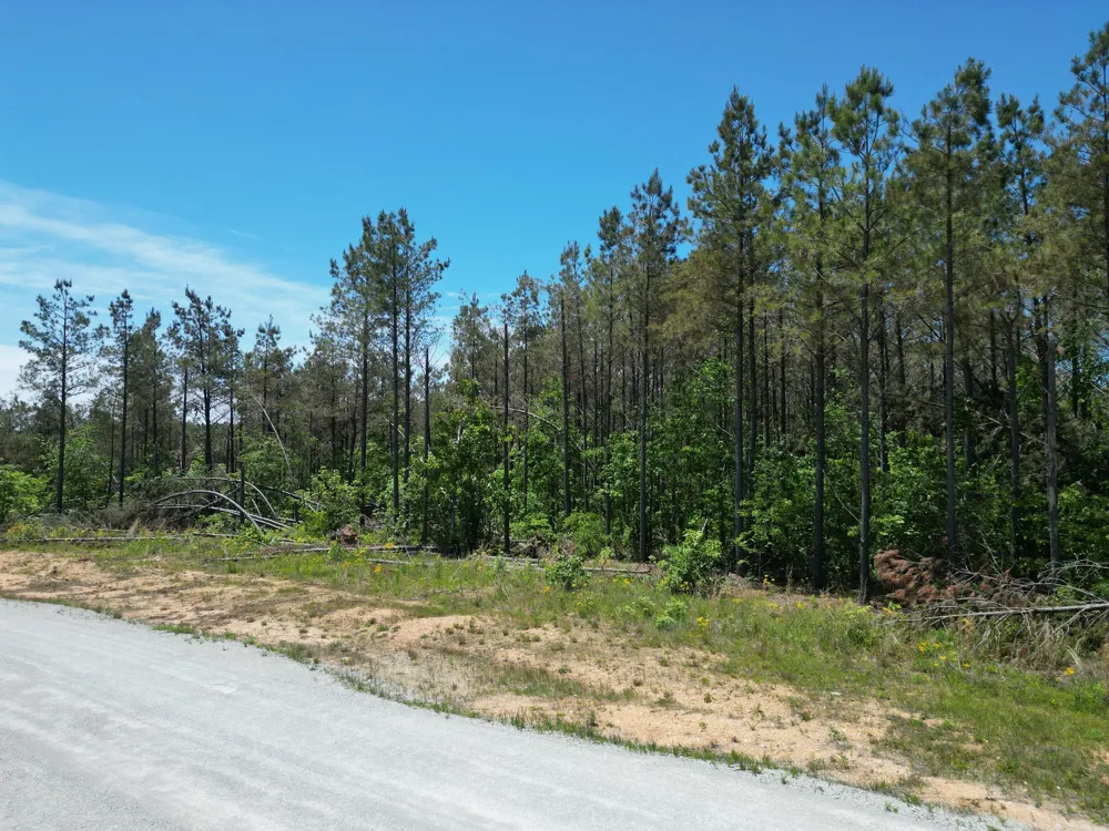 140 Pinewood Dr Hohenwald, TN 38462
