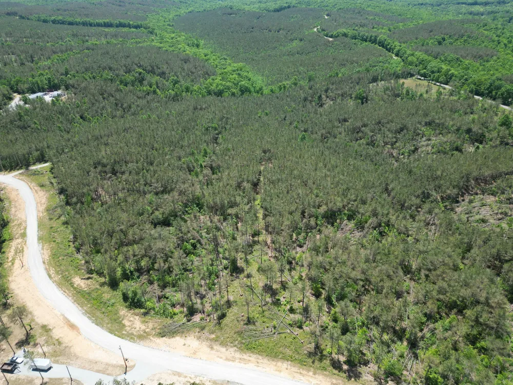 140 Pinewood Dr Hohenwald, TN 38462
