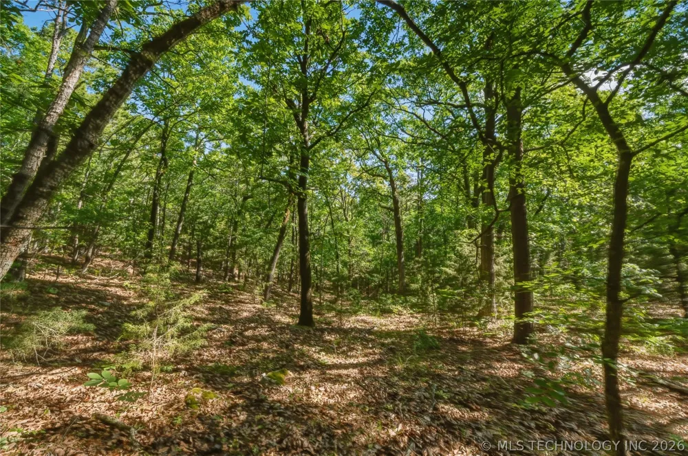 44374 509 STREET Talihina, OK 74571