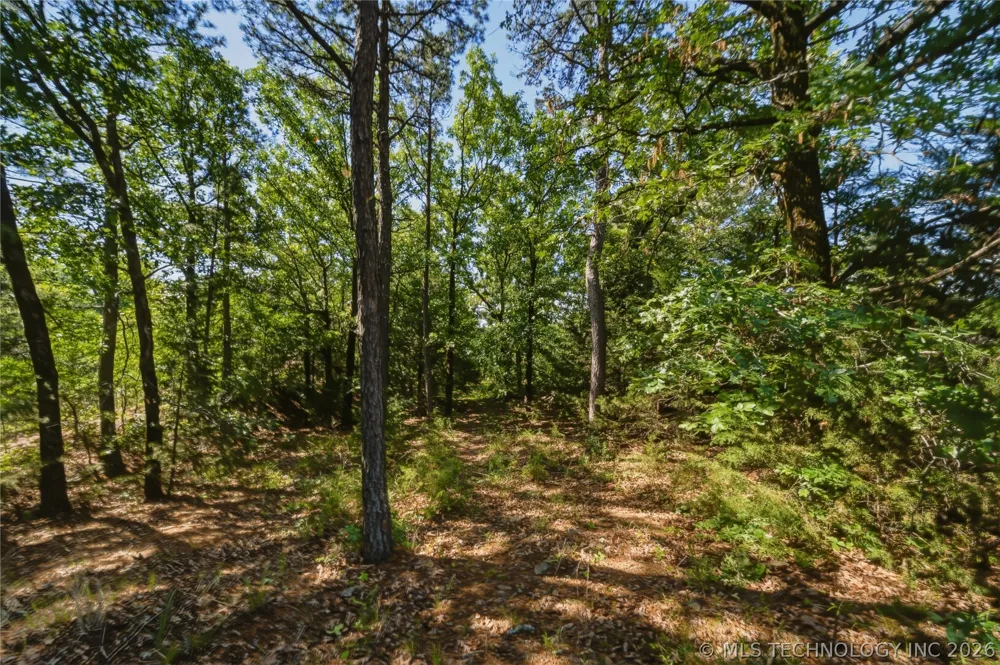44374 509 STREET Talihina, OK 74571