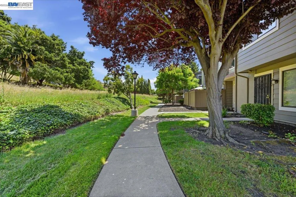 263 Famoso Plz Union City, CA 94587