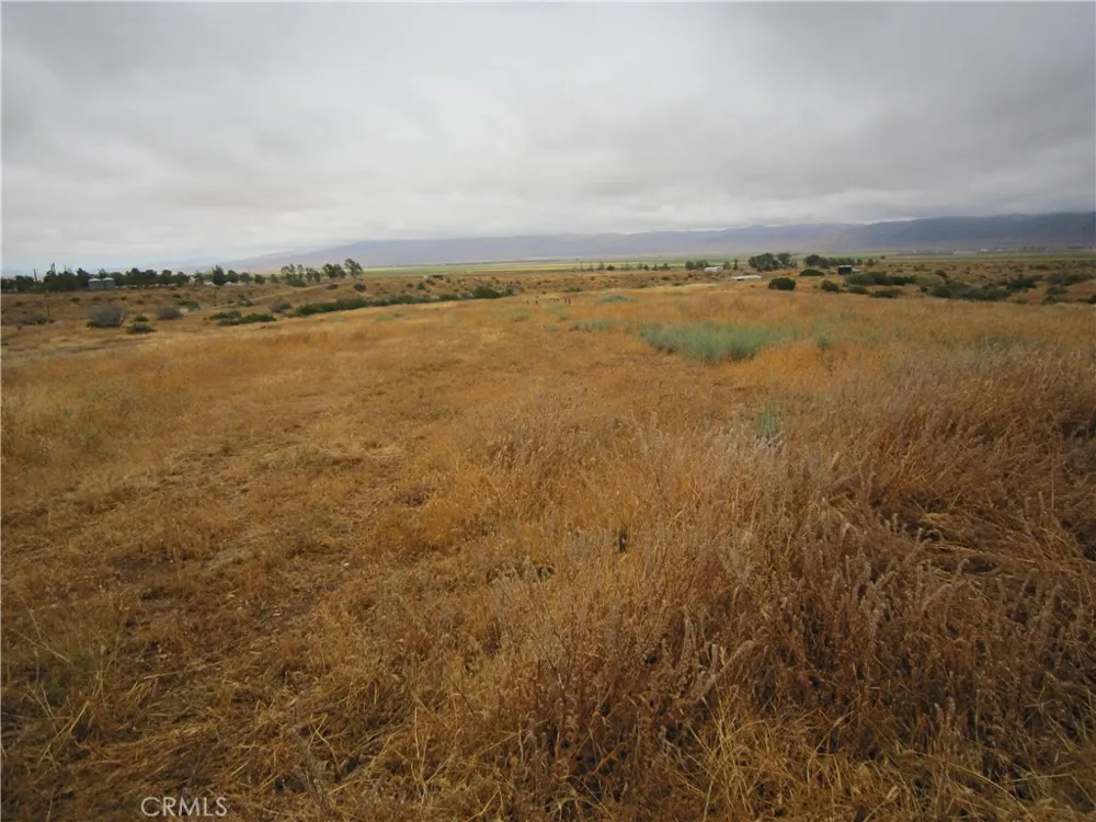 205 Castro Canyon Road Cuyama, CA 93252