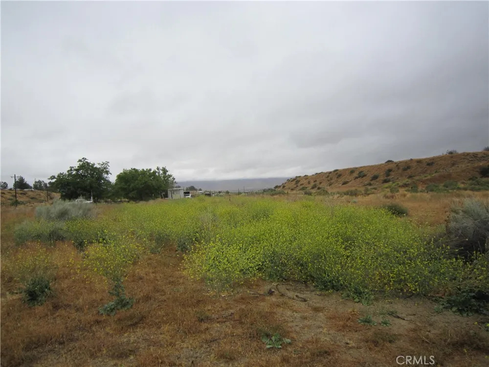 205 Castro Canyon Road Cuyama, CA 93252