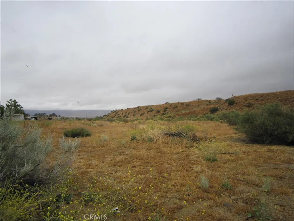 205 Castro Canyon Road Cuyama, CA 93252