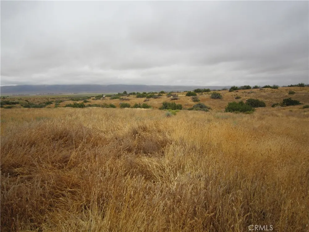 205 Castro Canyon Road Cuyama, CA 93252