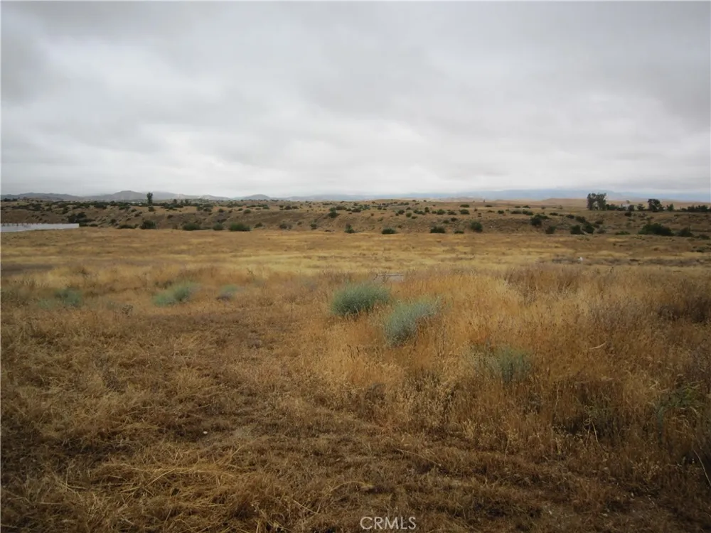 205 Castro Canyon Road Cuyama, CA 93252