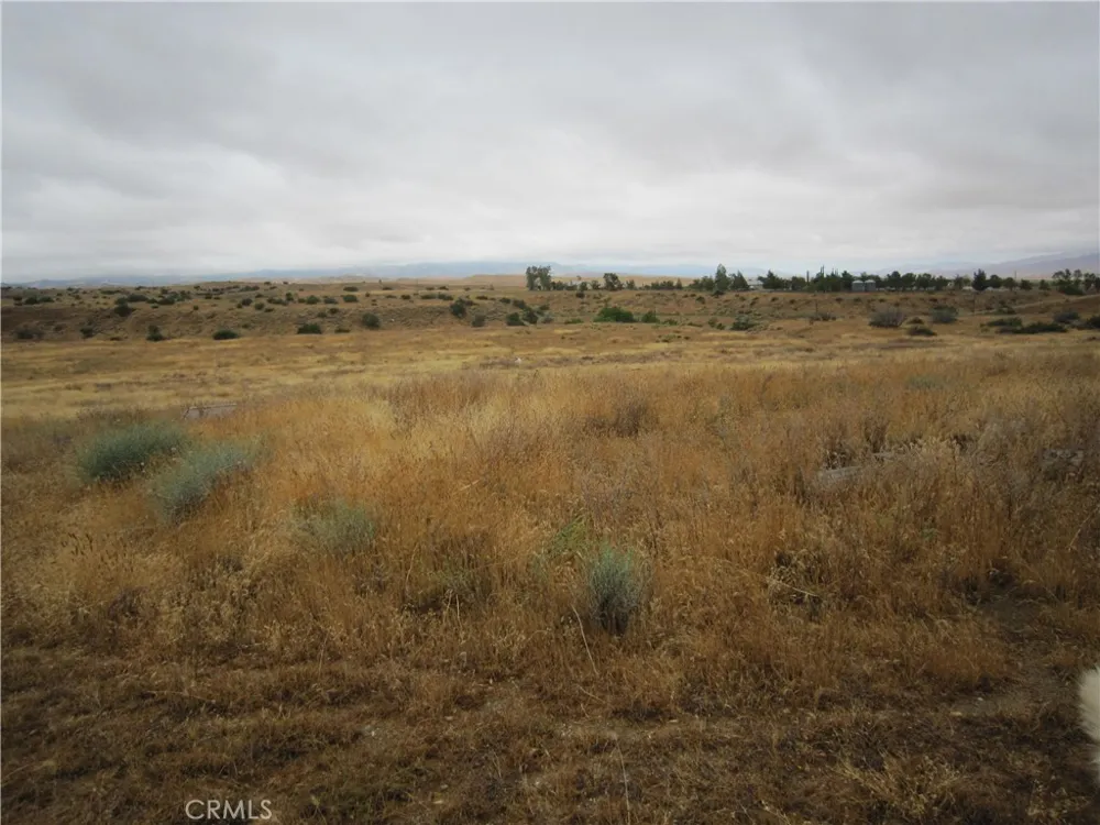 205 Castro Canyon Road Cuyama, CA 93252