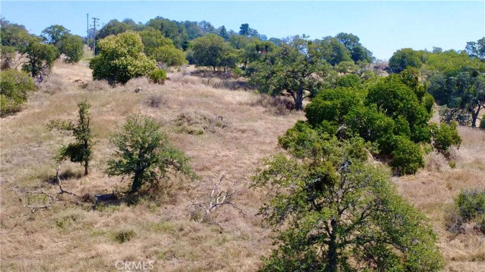 34141 Bronco Squaw Valley, CA 93675