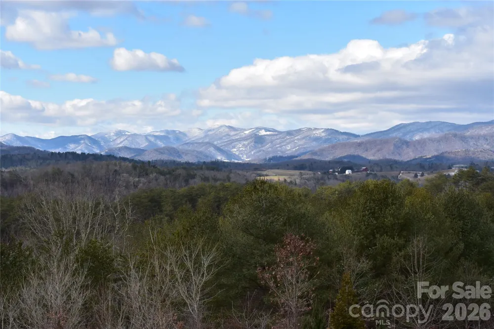 44 Dane Acres Drive Alexander, NC 28701