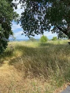 239 Eagle Nest Chico, CA 95928