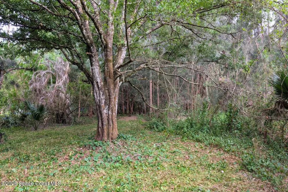 2465 Green Street Melbourne, FL 32904