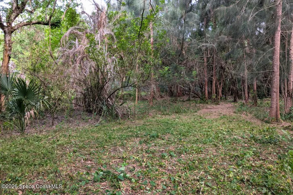 2465 Green Street Melbourne, FL 32904