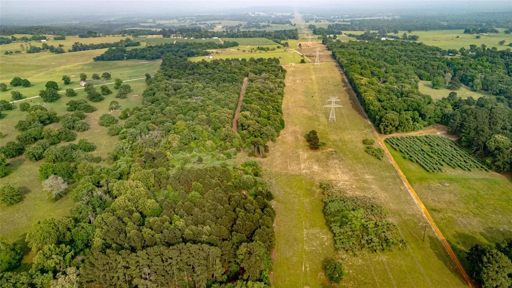 County Road 4520 Larue, TX 75770