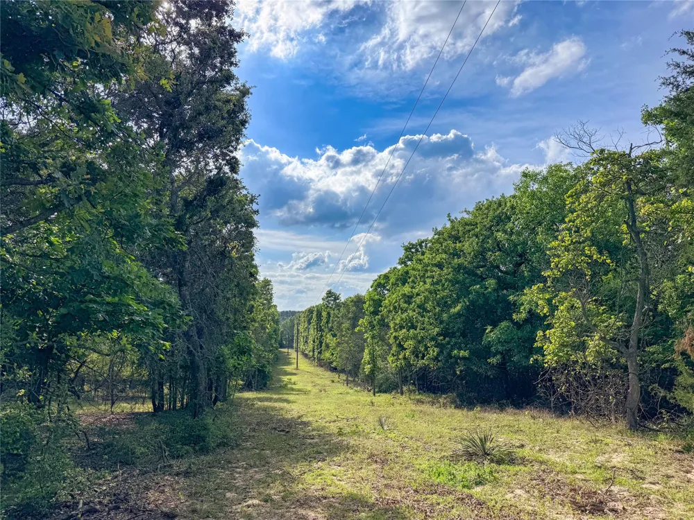 County Road 4520 Larue, TX 75770