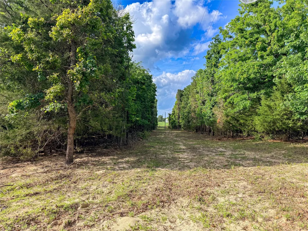 County Road 4520 Larue, TX 75770