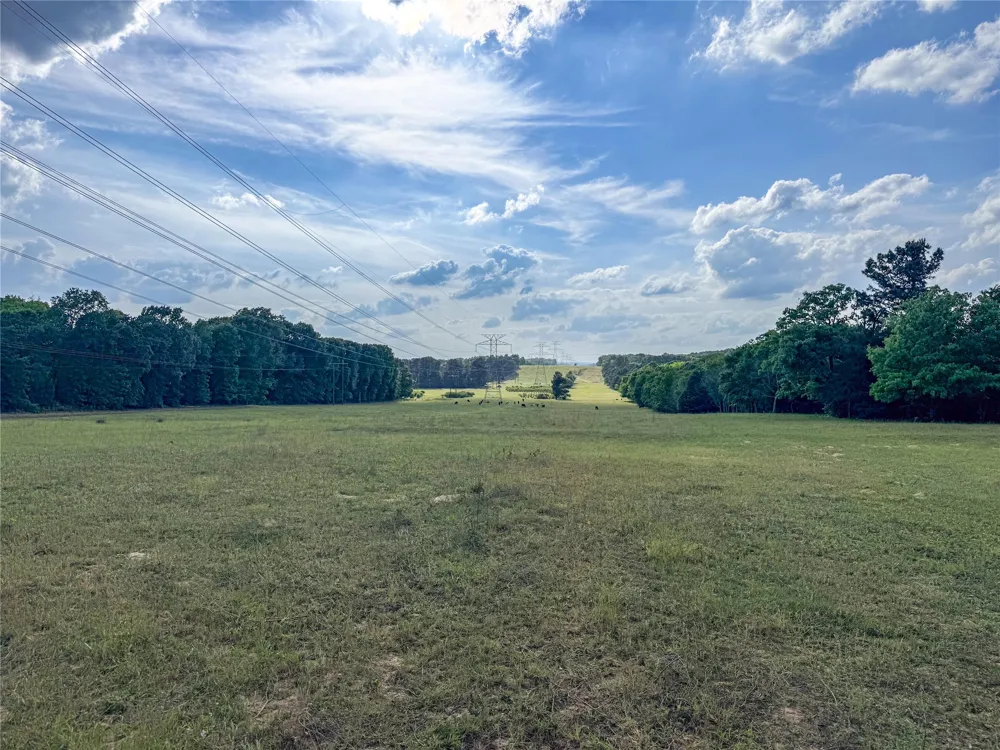 County Road 4520 Larue, TX 75770