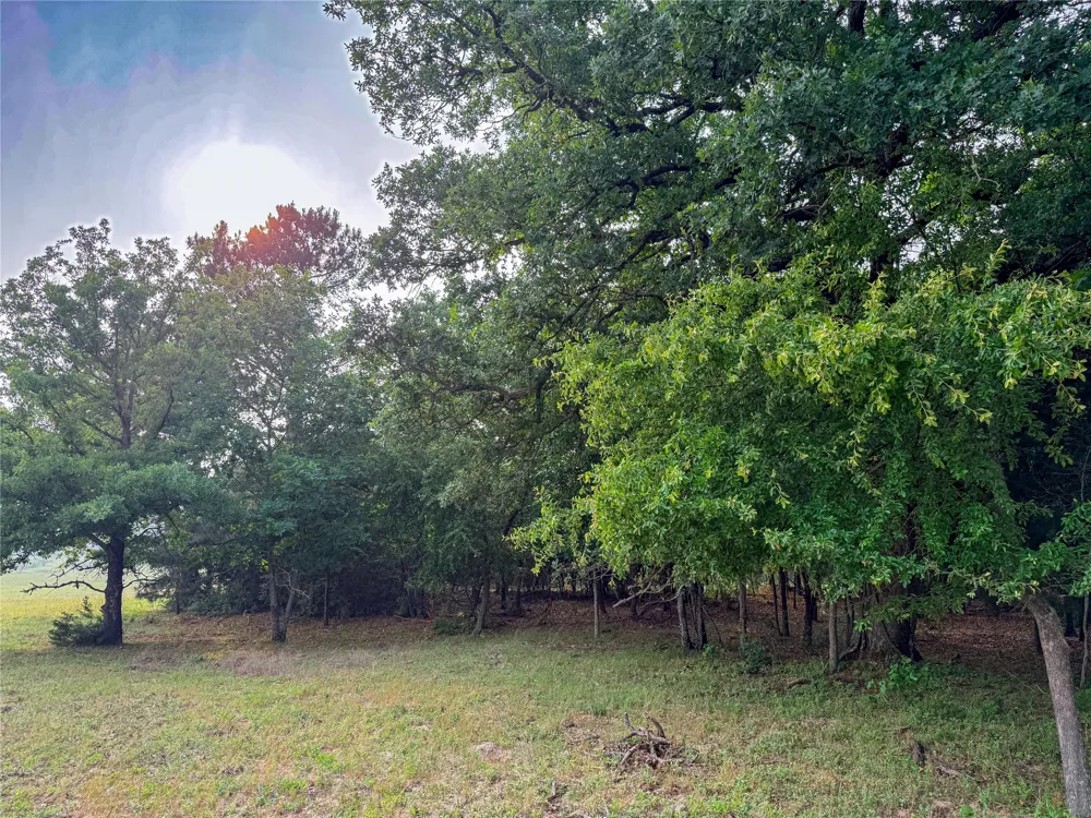County Road 4520 Larue, TX 75770