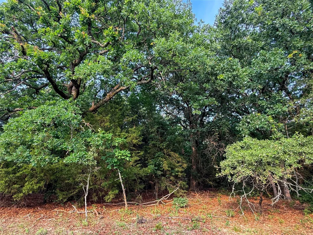 County Road 4520 Larue, TX 75770