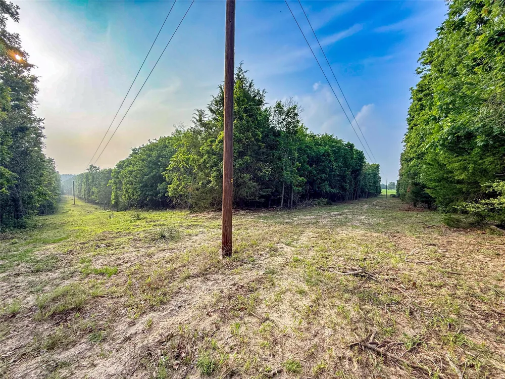County Road 4520 Larue, TX 75770