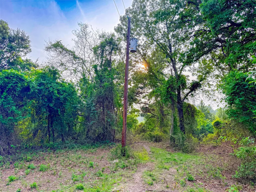 County Road 4520 Larue, TX 75770