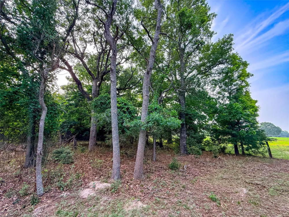County Road 4520 Larue, TX 75770