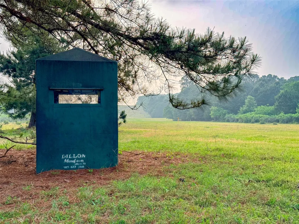 County Road 4520 Larue, TX 75770