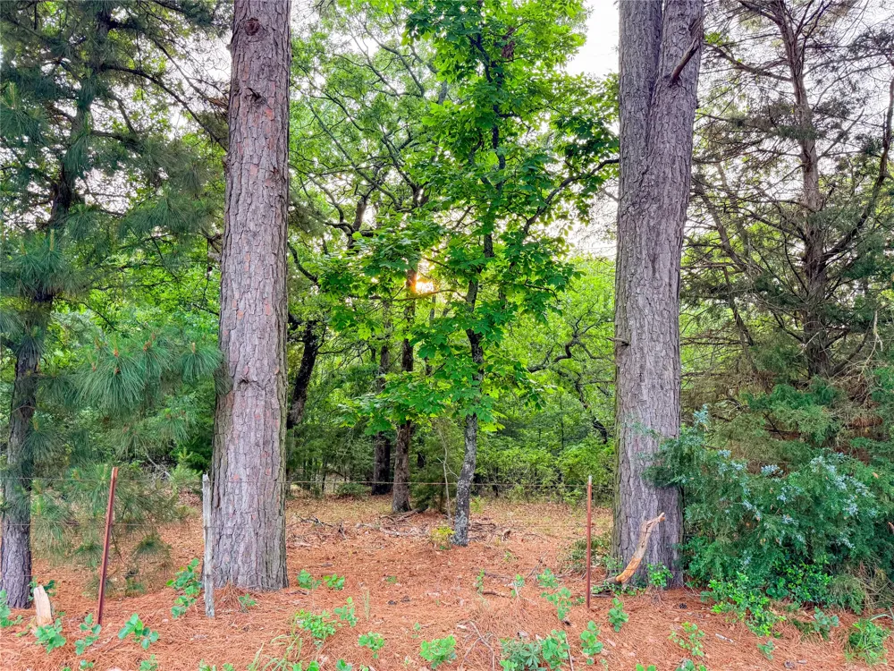 County Road 4520 Larue, TX 75770