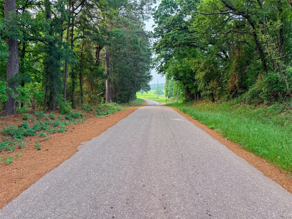 County Road 4520 Larue, TX 75770