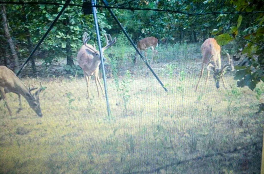 County Road 4520 Larue, TX 75770