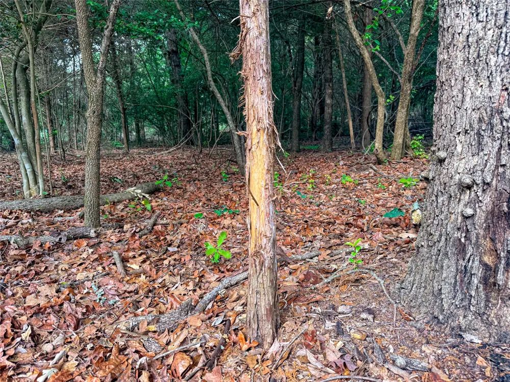 County Road 4520 Larue, TX 75770