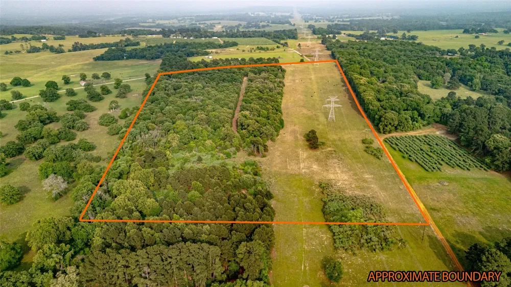 County Road 4520 Larue, TX 75770