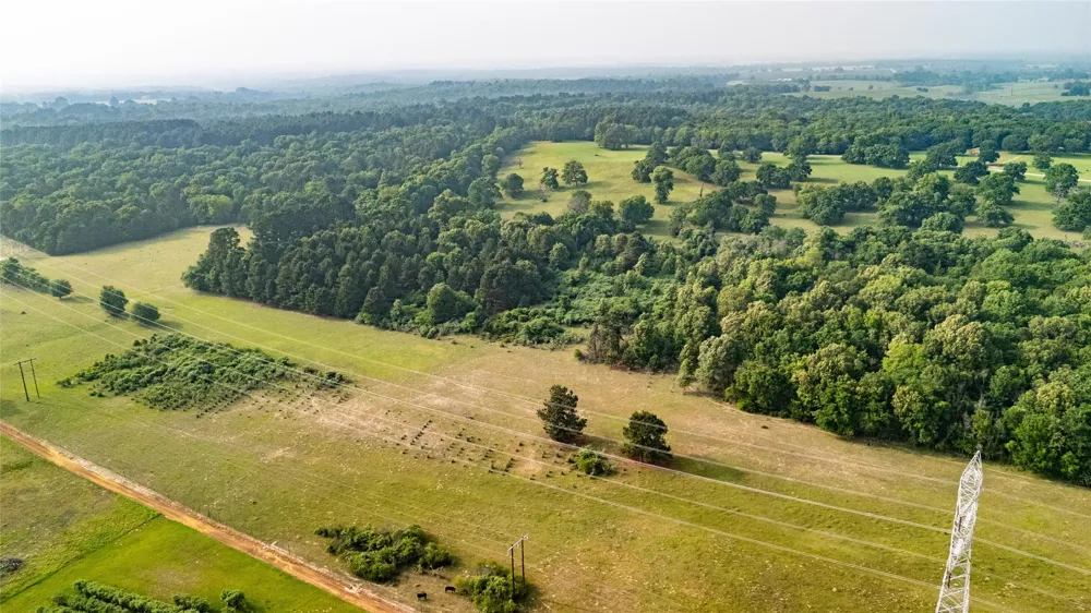 County Road 4520 Larue, TX 75770