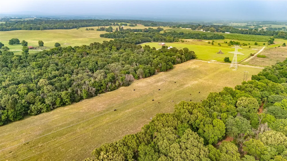 County Road 4520 Larue, TX 75770