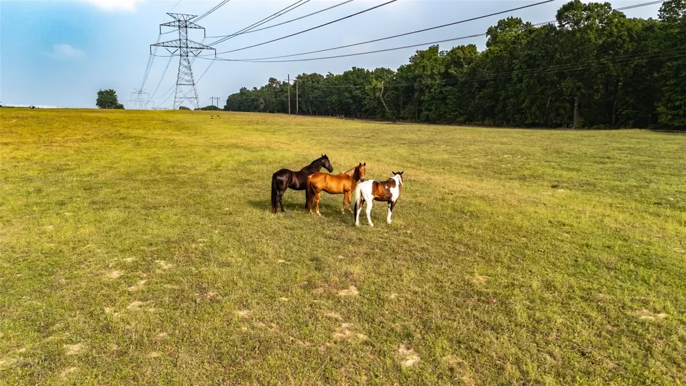 County Road 4520 Larue, TX 75770