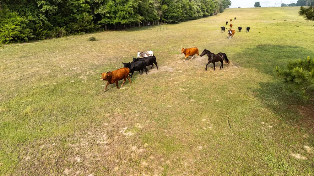 County Road 4520 Larue, TX 75770