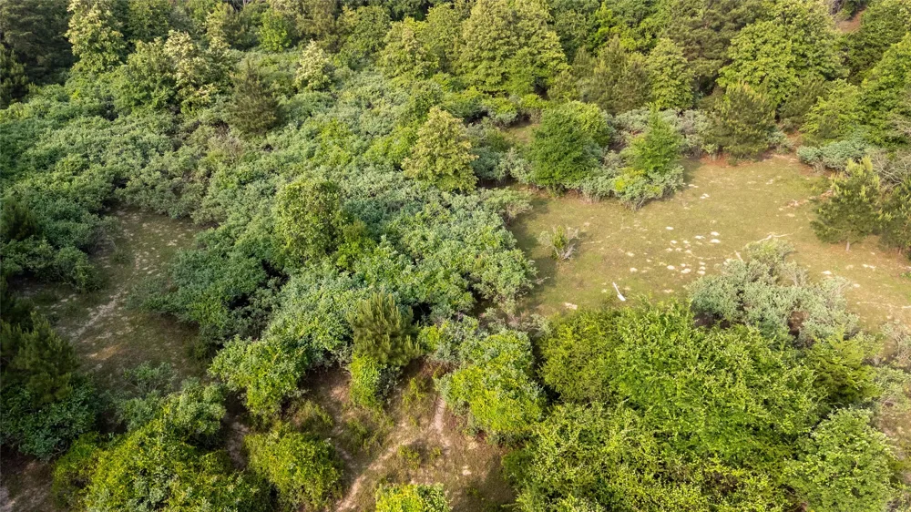 County Road 4520 Larue, TX 75770